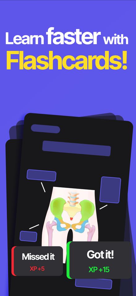 Mindstreak study screen showing an anatomy flashcard with the Missed it and Got it buttons